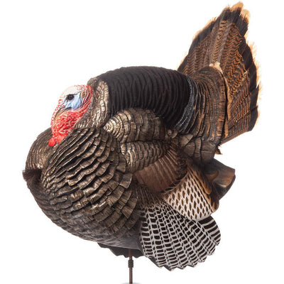 Dave Smith Decoy 3-4 Strut Jake