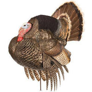 Dave Smith Decoy Strutter General Hunting Dave Smith Decoys Reaper Gear ReaperGear.com Your Bow Hunting Headquarters, Best Prices & FREE SHIPPING! Black Friday Cyber Monday Sale