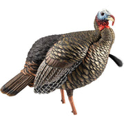 Avian X Hdr Jake Decoy General Hunting Avian X Reaper Gear ReaperGear.com Your Bow Hunting Headquarters, Best Prices & FREE SHIPPING! Black Friday Cyber Monday Sale