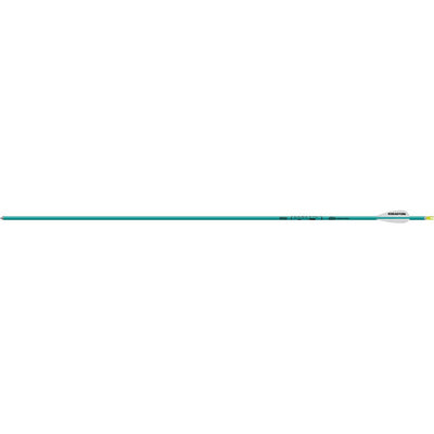 Easton Genesis V2 Arrows Teal 1820 6 Pk.