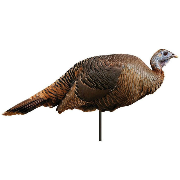 Montana Decoy Spring Fling Hen Decoy General Hunting Montana Decoy Reaper Gear ReaperGear.com Your Bow Hunting Headquarters, Best Prices & FREE SHIPPING! Black Friday Cyber Monday Sale