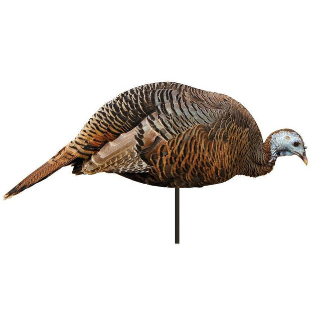 Montana Decoy Dinner Belle Hen Decoy General Hunting Montana Decoy Reaper Gear ReaperGear.com Your Bow Hunting Headquarters, Best Prices & FREE SHIPPING! Black Friday Cyber Monday Sale