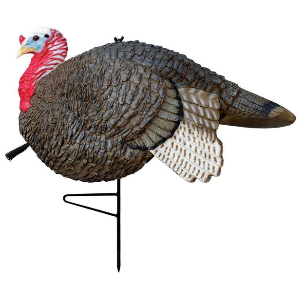 Primos Gobbstopper Jake Turkey Decoy General Hunting Primos Reaper Gear ReaperGear.com Your Bow Hunting Headquarters, Best Prices & FREE SHIPPING! Black Friday Cyber Monday Sale