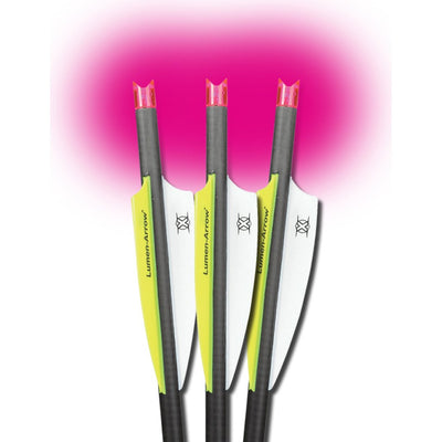 Lumenok Crossbow Bolt Pink Moon 20 In. 3 Pk.