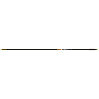 Gold Tip Pierce Platinum Arrow 300 2 In. Fusion X Vanes 6 Pk.