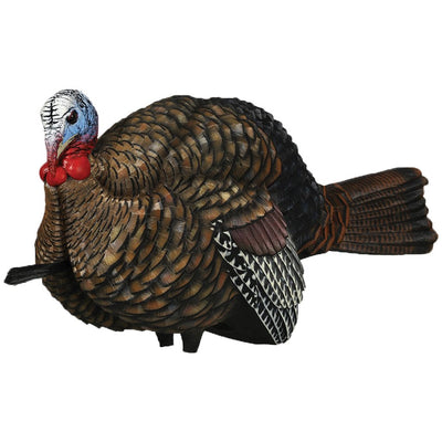 Avian X Turkey Decoy 1-2 Strut Jake