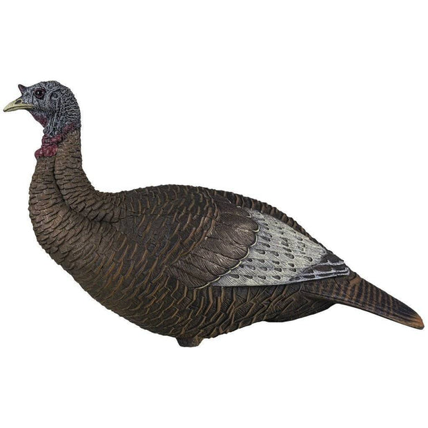 Flextone Thunder Chick Decoy Upright Hen General Hunting Flextone Reaper Gear ReaperGear.com Your Bow Hunting Headquarters, Best Prices & FREE SHIPPING! Black Friday Cyber Monday Sale