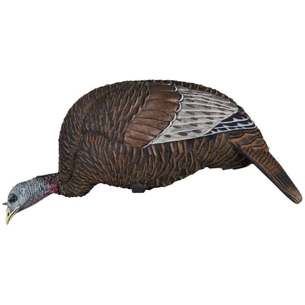 Flextone Thunder Chick Decoy Feeding Hen General Hunting Flextone Reaper Gear ReaperGear.com Your Bow Hunting Headquarters, Best Prices & FREE SHIPPING! Black Friday Cyber Monday Sale