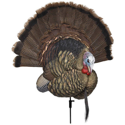 Avian X Turkey Decoy Trophy Tom General Hunting Avian X Reaper Gear ReaperGear.com Your Bow Hunting Headquarters, Best Prices & FREE SHIPPING! Black Friday Cyber Monday Sale