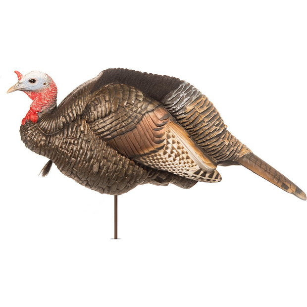 Dave Smith Decoy 3-4 Strut Jake