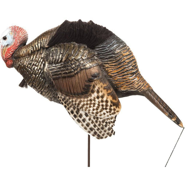 Dave Smith Decoy Mating Motion Jake General Hunting Dave Smith Decoys Reaper Gear ReaperGear.com Your Bow Hunting Headquarters, Best Prices & FREE SHIPPING! Black Friday Cyber Monday Sale