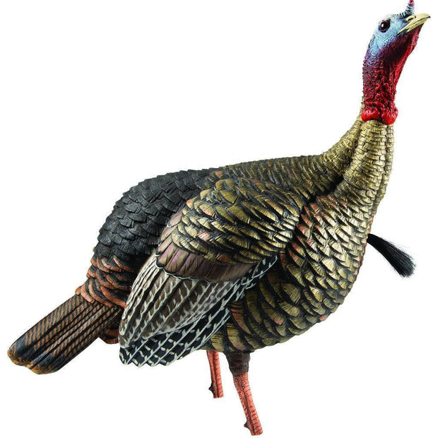 Avian X Hdr Jake Decoy General Hunting Avian X Reaper Gear ReaperGear.com Your Bow Hunting Headquarters, Best Prices & FREE SHIPPING! Black Friday Cyber Monday Sale