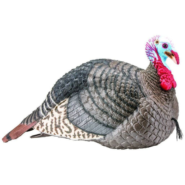 Hunters Specialties Strut-Lite Jake Turkey Decoy General Hunting Hunters Specialties Reaper Gear ReaperGear.com Your Bow Hunting Headquarters, Best Prices & FREE SHIPPING! Black Friday Cyber Monday Sale